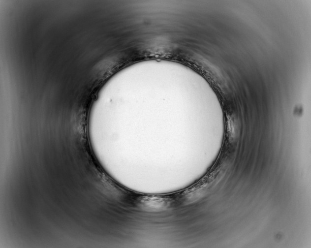 X0000103910181200810101316