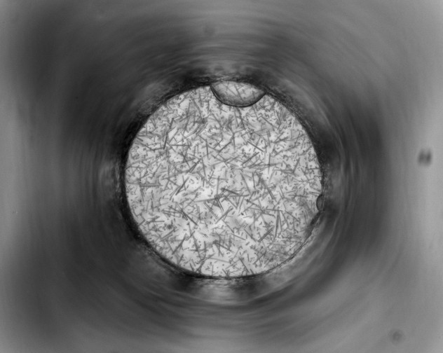 X0000103910182200810101316