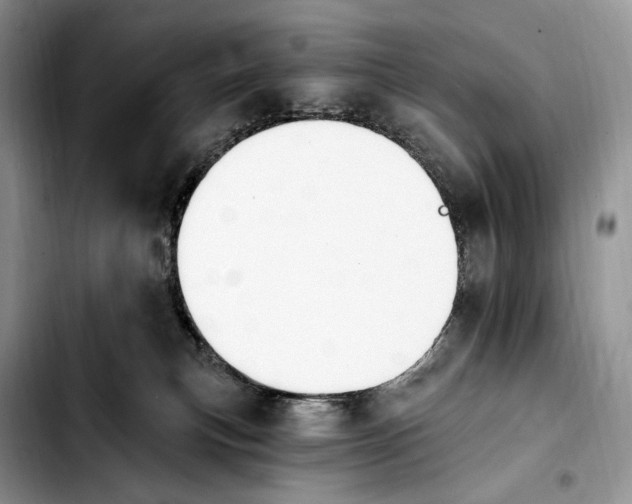 X0000103910183200810101316