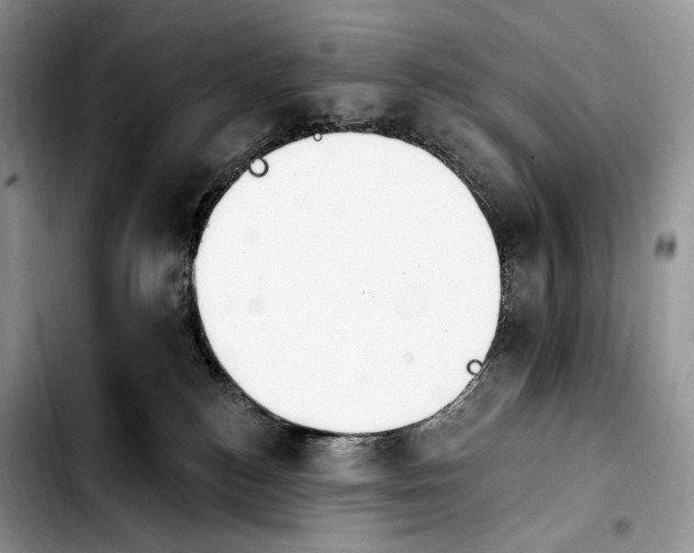 X0000103910184200810101316