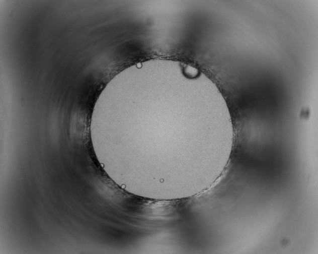 X0000103910186200810101316