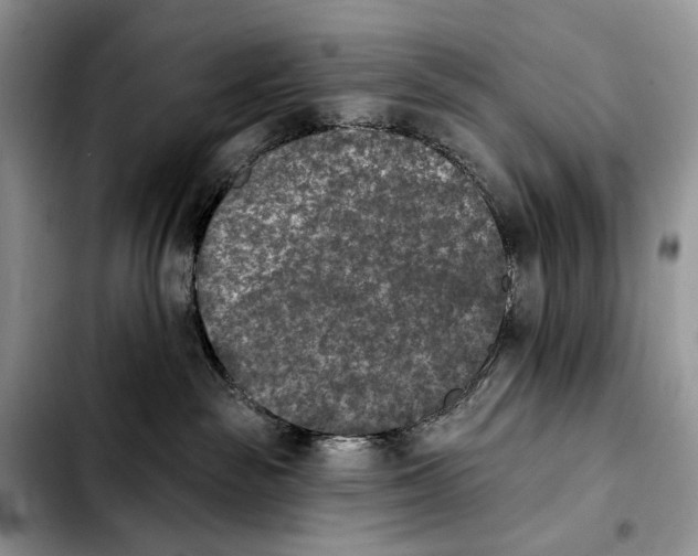X0000103910189200810101316