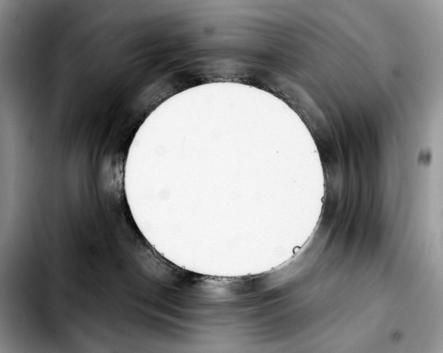X0000103910190200810101316