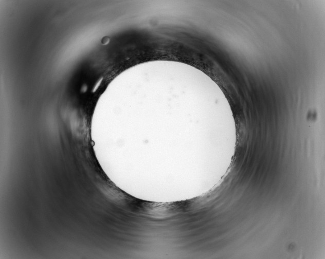 X0000103910191200810101316