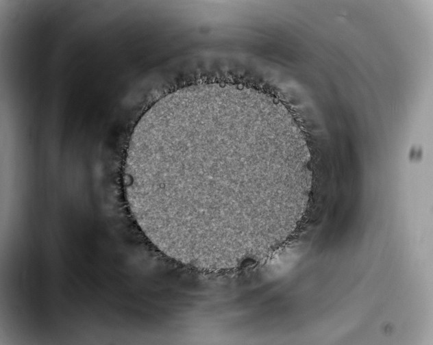 X0000103910192200810101316