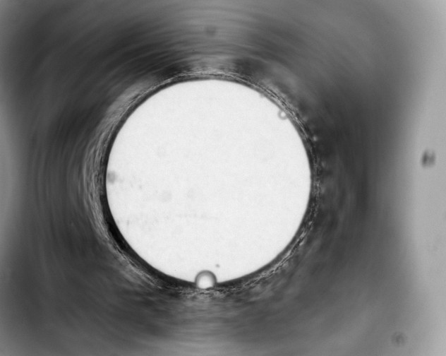X0000103910193200810101315