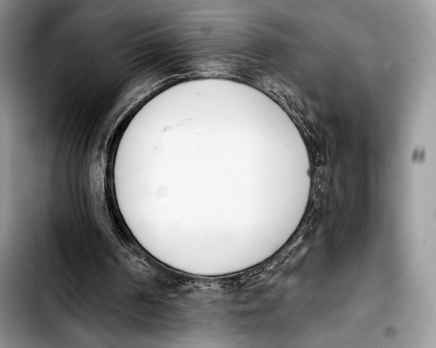 X0000103910194200810101315