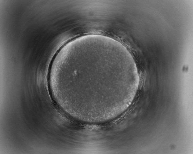 X0000103910195200810101315