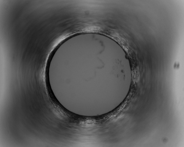 X0000103910196200810101315
