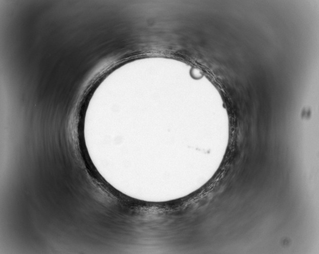 X0000103910197200810101315