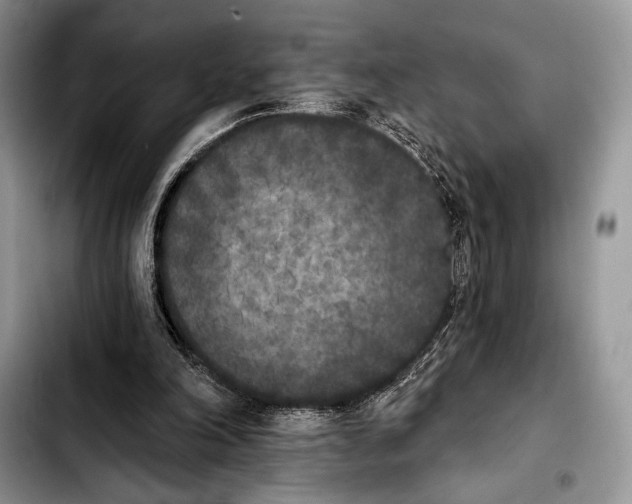 X0000103910198200810101315