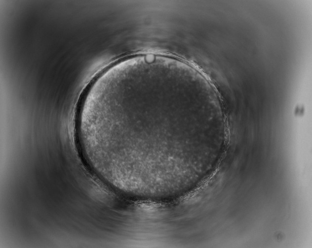 X0000103910199200810101315