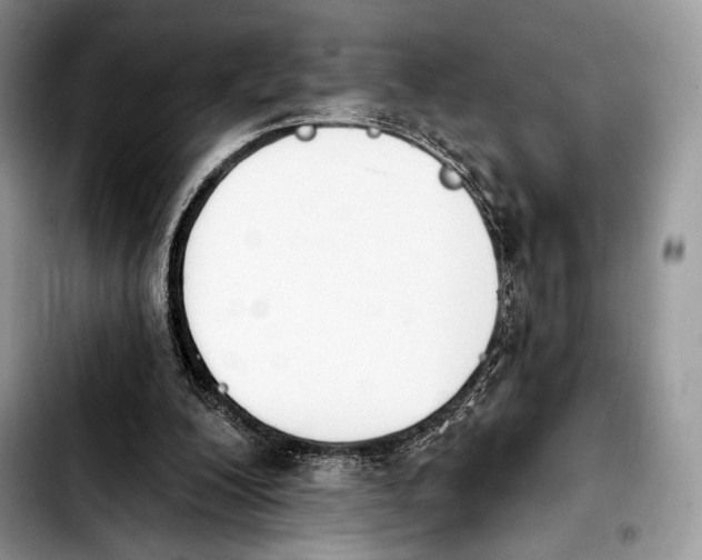 X0000103910200200810101315