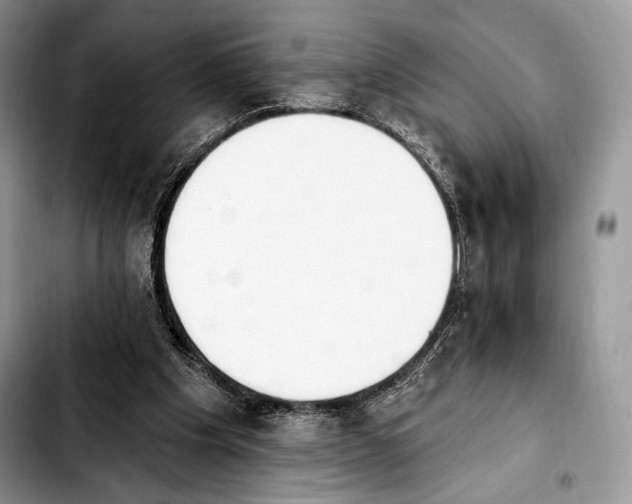 X0000103910201200810101315