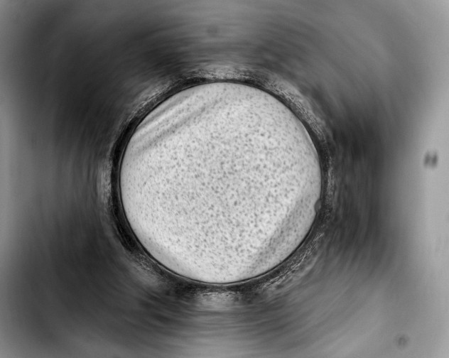 X0000103910202200810101315