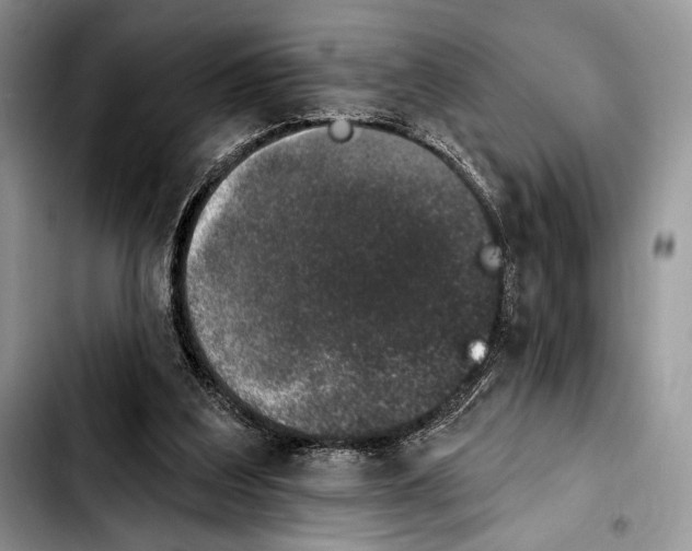 X0000103910203200810101315