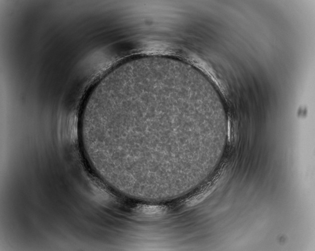 X0000103910205200810101315