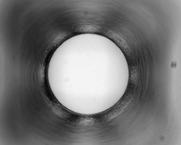 X0000103910206200810101315