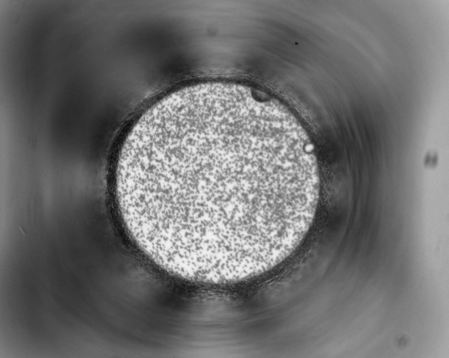 X0000103910207200810101315