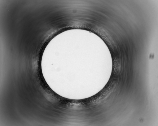 X0000103910208200810101315