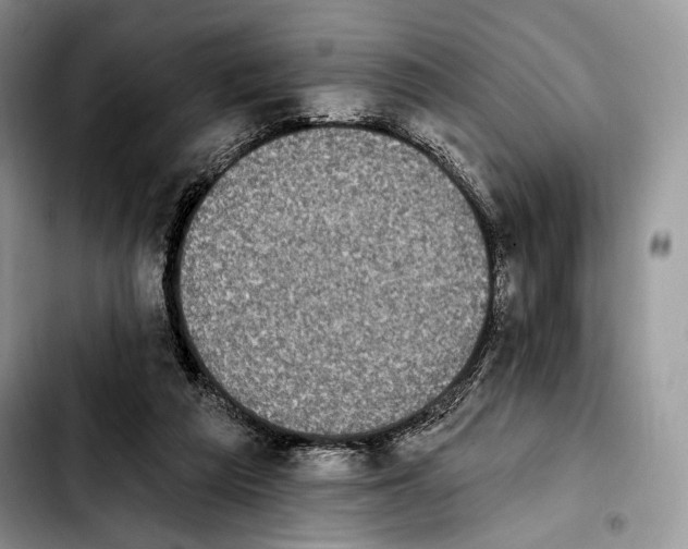 X0000103910209200810101315