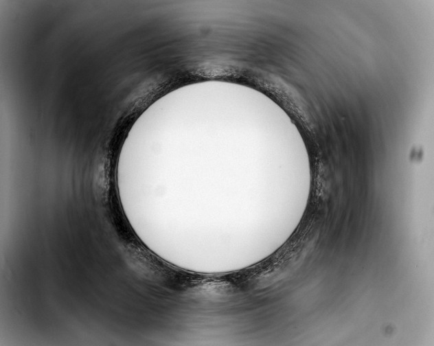 X0000103910210200810101315