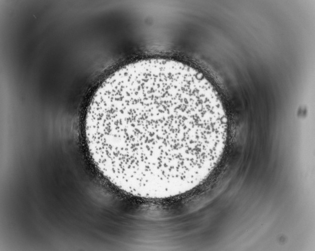 X0000103910211200810101315