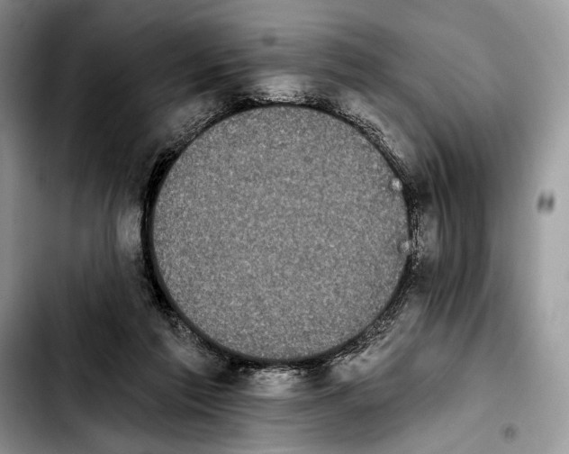 X0000103910213200810101315