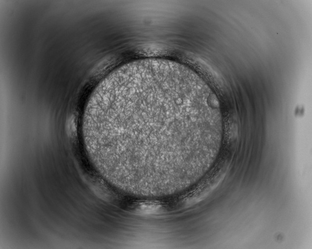X0000103910214200810101315
