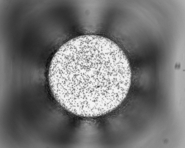 X0000103910215200810101315