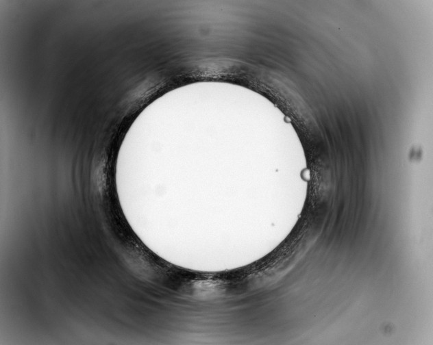 X0000103910216200810101315