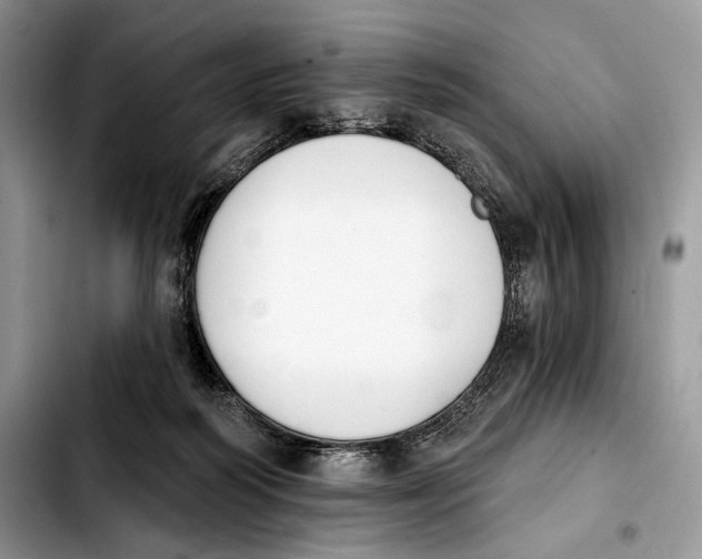 X0000103910218200810101315