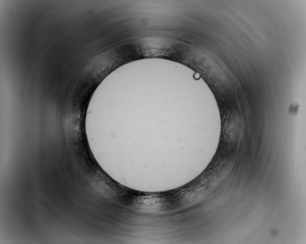 X0000103910219200810101315