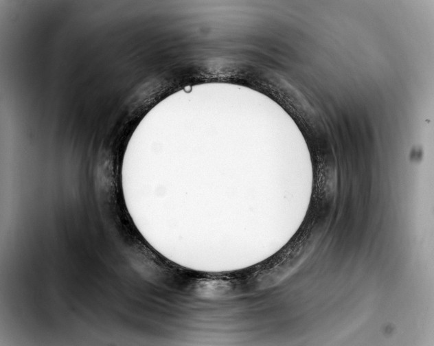X0000103910220200810101315