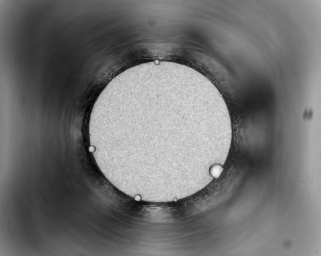 X0000103910221200810101315