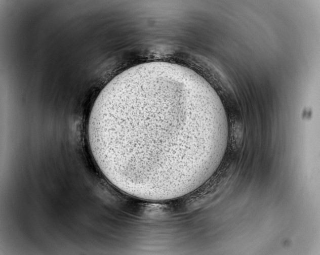 X0000103910222200810101315