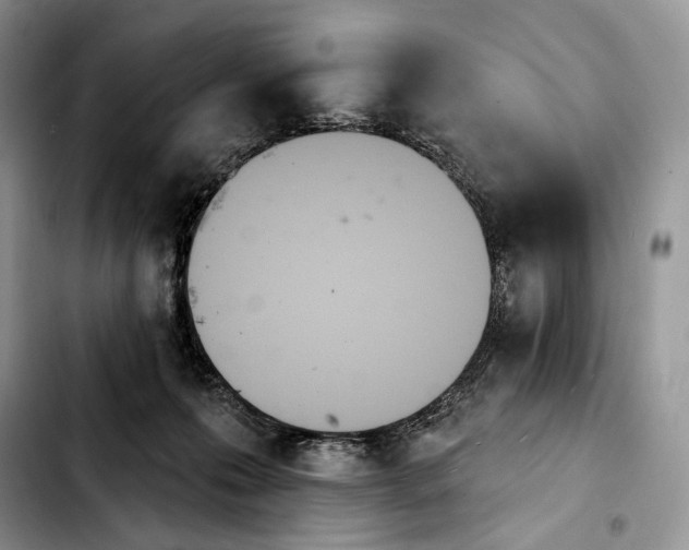 X0000103910223200810101315