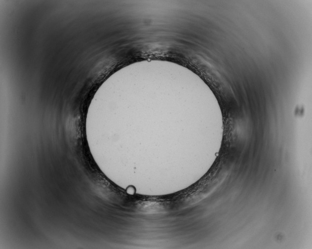 X0000103910224200810101315