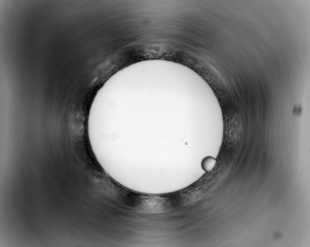 X0000103910226200810101315