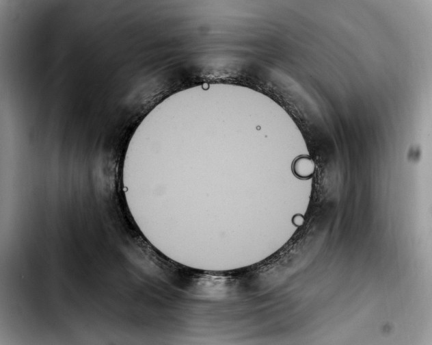 X0000103910227200810101315
