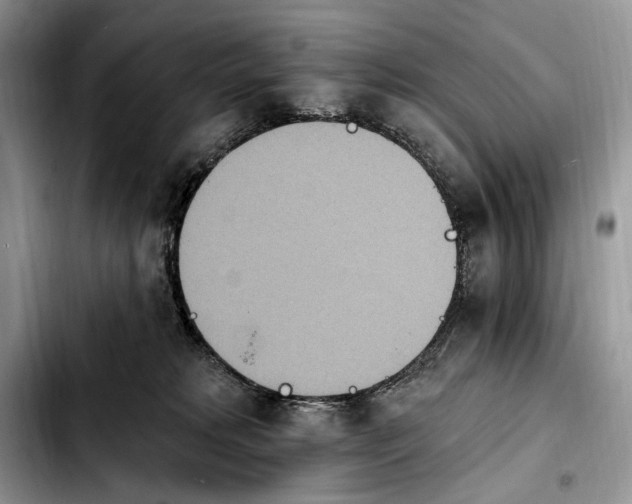 X0000103910229200810101315