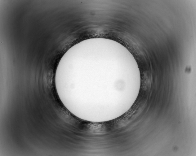 X0000103910230200810101315