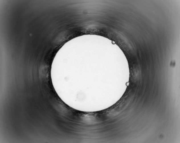 X0000103910232200810101315