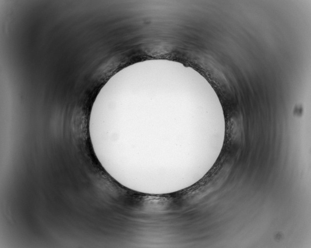 X0000103910234200810101315