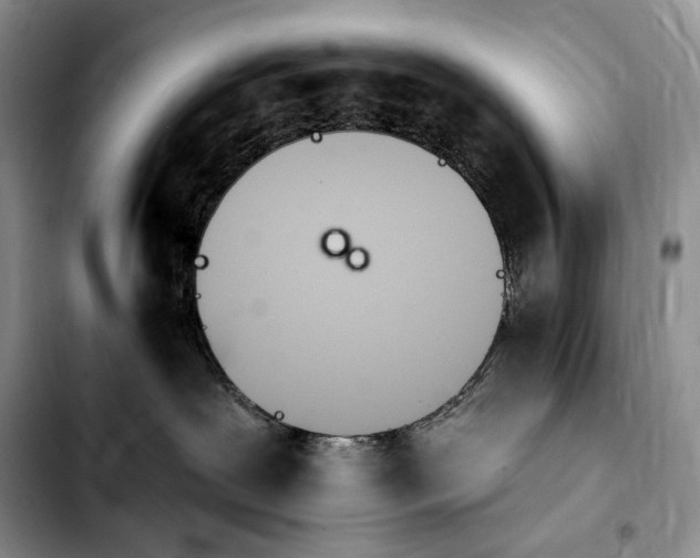 X0000103910239200810101314