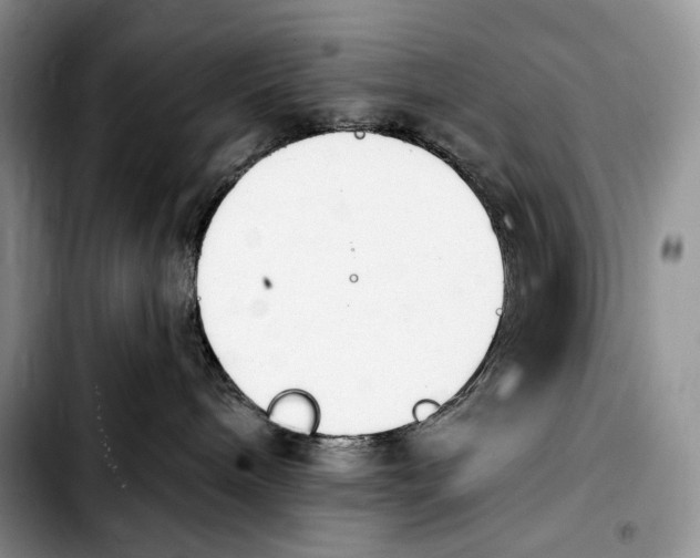 X0000103910240200810101314