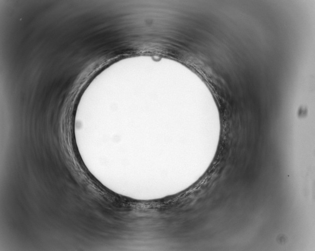 X0000103910241200810101314