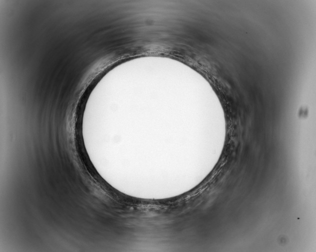 X0000103910242200810101314