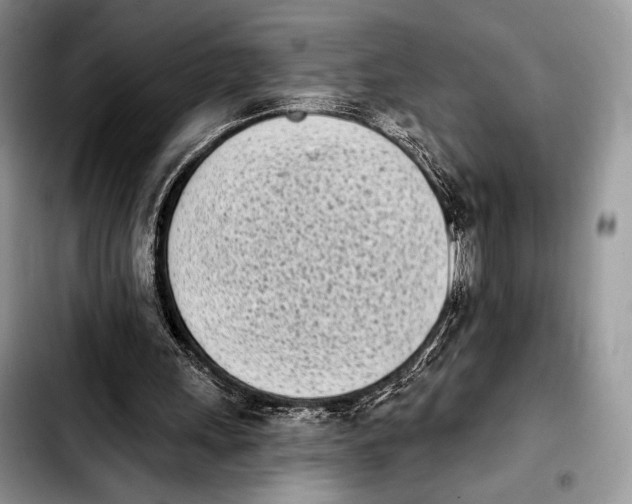 X0000103910243200810101314
