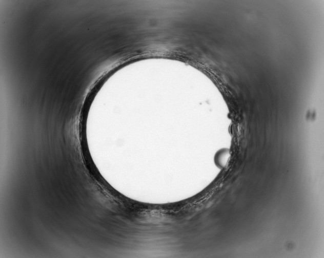 X0000103910244200810101314